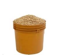 Beans and Grains